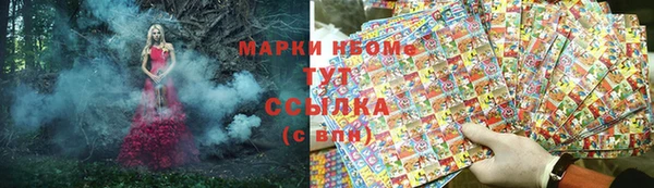 индика Богородицк